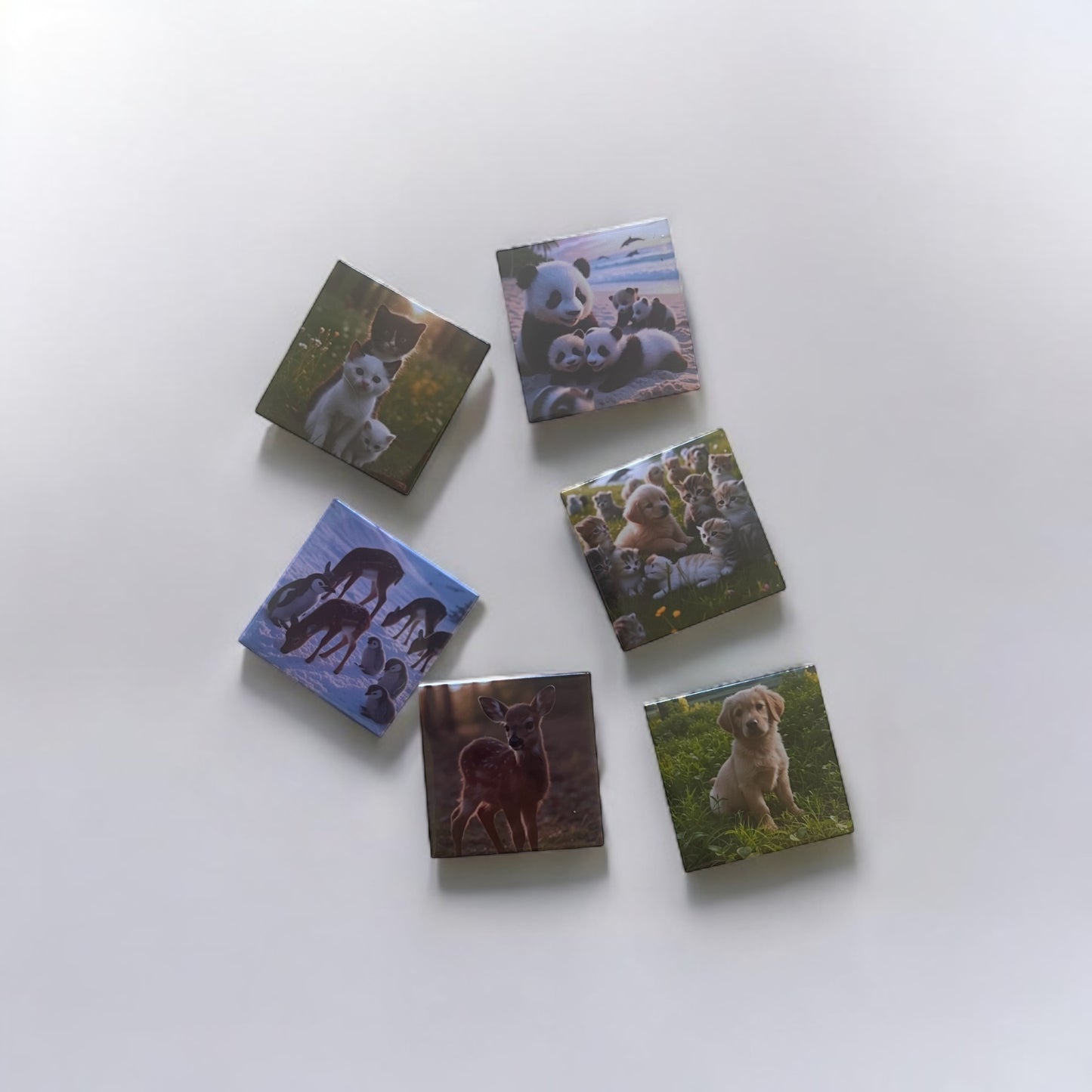 $15.99 for 6 magnets