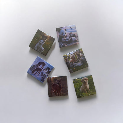$15.99 for 6 magnets